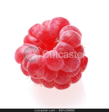 To use this stock image in your creative project, please select the size you need over to the right and click the "Add to Cart" button.
Your downloaded image will come with the Cutcaster watermark removed so don’t worry about the watermark you see on this page. raspberry on white stock photo, raspberry on white background by sutike