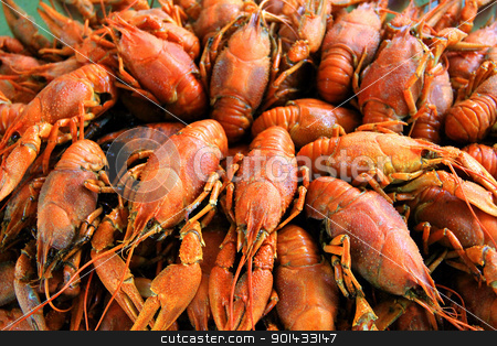 To use this stock image in your creative project, please select the size you need over to the right and click the "Add to Cart" button.
Your downloaded image will come with the Cutcaster watermark removed so don’t worry about the watermark you see on this page. Background with many crawfishes stock photo, Background with many boiled crawfishes by Julialine
