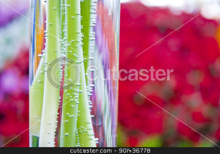Beautiful colorful flower background Beautiful colorful flower background stock photo, Beautiful colorful flower background by mozzyb