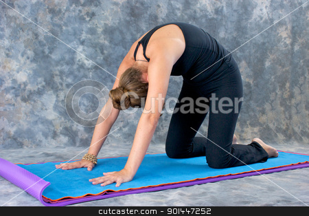 To use this stock image in your creative project, please select the size you need over to the right and click the "Add to Cart" button.
Your downloaded image will come with the Cutcaster watermark removed so don’t worry about the watermark you see on this page. woman doing Yoga posture Marjaryasana or cat pose stock photo, Young woman on yoga mat in Yoga posture Marjaryasana or cat pose against a grey mottled background . by Stephen Orsillo