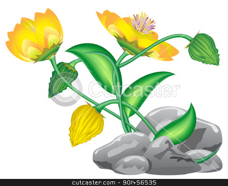 To use this stock image in your creative project, please select the size you need over to the right and click the "Add to Cart" button.
Your downloaded image will come with the Cutcaster watermark removed so don’t worry about the watermark you see on this page. fantasy flower stock vector clipart, fantasy flower growing from rocks isolated on white by Evgeniy Shadrin