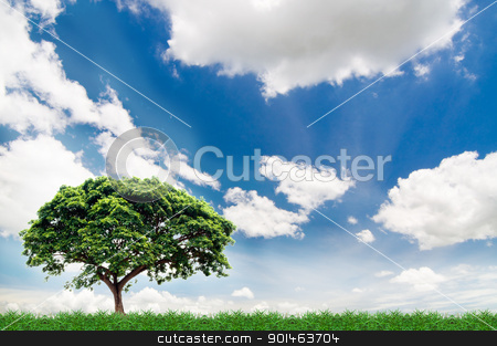 Green field green field stock photo, green field under the blue sky by Komkrit Muangchan