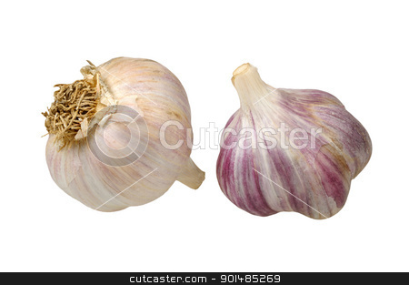 To use this stock image in your creative project, please select the size you need over to the right and click the "Add to Cart" button.
Your downloaded image will come with the Cutcaster watermark removed so don’t worry about the watermark you see on this page. garlic isolated on white background stock photo, two heads of garlic isolated on white background by Rusgri