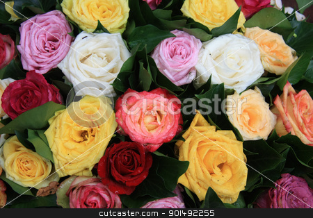 To use this stock image in your creative project, please select the size you need over to the right and click the "Add to Cart" button.
Your downloaded image will come with the Cutcaster watermark removed so don’t worry about the watermark you see on this page. Multicolored rose arrangement after a rainshower stock photo, Multicolored rose arrangement after a rainshower, roses full of waterdrops by Porto Sabbia