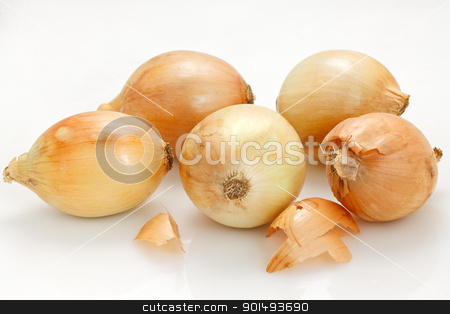 Onions Onions stock photo, Onions in white background by Oleg