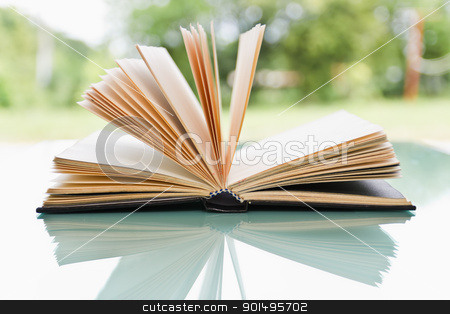 To use this stock image in your creative project, please select the size you need over to the right and click the "Add to Cart" button.
Your downloaded image will come with the Cutcaster watermark removed so don’t worry about the watermark you see on this page. Open book stock photo, Open book over a light nature background by stoonn