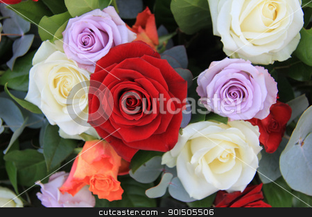 To use this stock image in your creative project, please select the size you need over to the right and click the "Add to Cart" button.
Your downloaded image will come with the Cutcaster watermark removed so don’t worry about the watermark you see on this page. mixed roses flower arrangement stock photo, Flower arrangement with roses in orange, lilac, red and white by Porto Sabbia