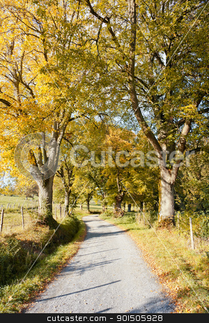 To use this stock image in your creative project, please select the size you need over to the right and click the "Add to Cart" button.
Your downloaded image will come with the Cutcaster watermark removed so don’t worry about the watermark you see on this page. autumn scenery stock photo, An image of a nice autumn landscape by Markus Gann