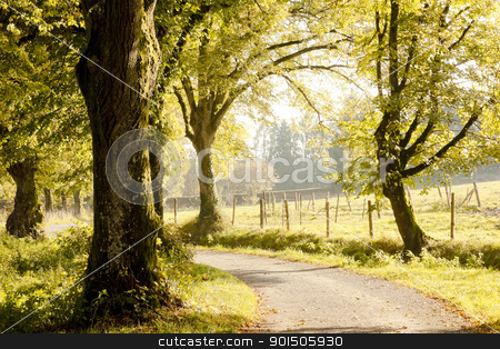 To use this stock image in your creative project, please select the size you need over to the right and click the "Add to Cart" button.
Your downloaded image will come with the Cutcaster watermark removed so don’t worry about the watermark you see on this page. autumn scenery stock photo, An image of a nice autumn landscape by Markus Gann
