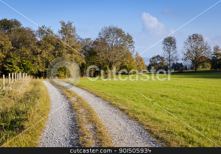 To use this stock image in your creative project, please select the size you need over to the right and click the "Add to Cart" button.
Your downloaded image will come with the Cutcaster watermark removed so don’t worry about the watermark you see on this page. autumn scenery stock photo, An image of a nice autumn landscape by Markus Gann