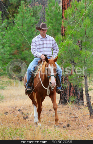 Cowboy Cowboy stock photo, Cowboy working his horse in the field by Vanessa Van Rensburg
