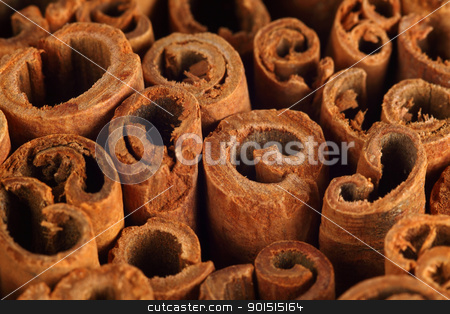 To use this stock image in your creative project, please select the size you need over to the right and click the "Add to Cart" button.
Your downloaded image will come with the Cutcaster watermark removed so don’t worry about the watermark you see on this page. Cinnamon background stock photo, Macro photo of the ends of cinnamon sticks. Very shallow depth of field with the focus across the middle. by © Ron Sumners