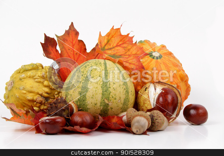 Autumnal decoration autumnal decoration stock photo, autumnal decoration by FranziskaKrause
