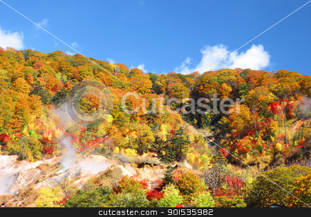 Autumn forest against blue sky autumn forest against blue sky stock photo, autumn forest against blue sky in Iwate,Japan by yoshiyayo