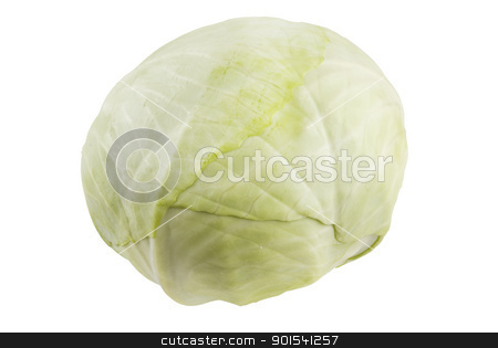 To use this stock image in your creative project, please select the size you need over to the right and click the "Add to Cart" button.
Your downloaded image will come with the Cutcaster watermark removed so don’t worry about the watermark you see on this page. Cabbage stock photo, One fresh cabbage isolated on white background by Tiramisu Studio