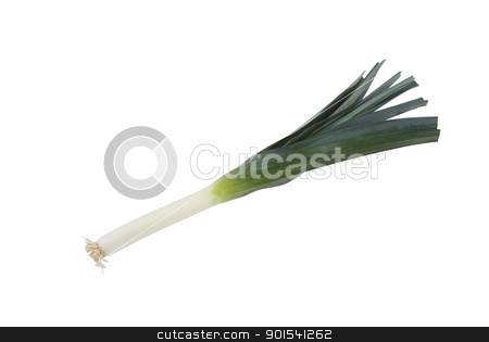 Leek Leek stock photo, One fresh leek isolated on white background by Tiramisu Studio
