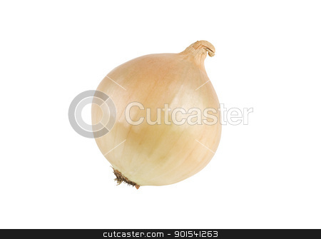 To use this stock image in your creative project, please select the size you need over to the right and click the "Add to Cart" button.
Your downloaded image will come with the Cutcaster watermark removed so don’t worry about the watermark you see on this page. Onion stock photo, One fresh onion isolated on white background by Tiramisu Studio
