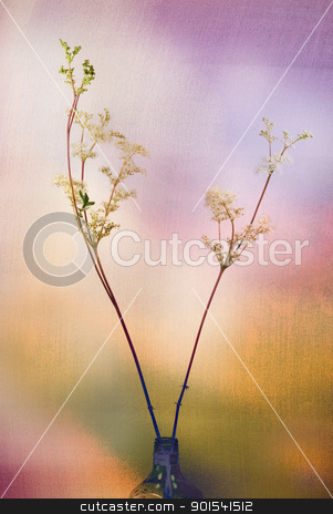 To use this stock image in your creative project, please select the size you need over to the right and click the "Add to Cart" button.
Your downloaded image will come with the Cutcaster watermark removed so don’t worry about the watermark you see on this page. Flower in a vase background stock photo, Composition of wild flower in a vase with colorful textured background ideal for background by Tiramisu Studio