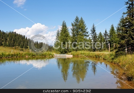 To use this stock image in your creative project, please select the size you need over to the right and click the "Add to Cart" button.
Your downloaded image will come with the Cutcaster watermark removed so don’t worry about the watermark you see on this page. Trees and clouds reflecting in the pond stock photo, Trees and clouds reflecting in the pond by Shlomo Polonsky