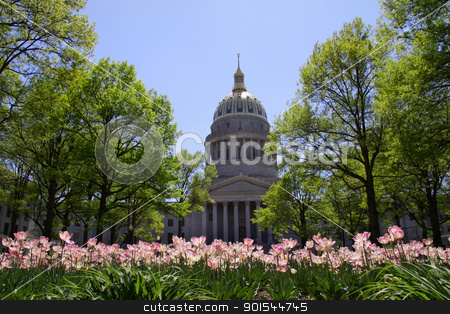To use this stock image in your creative project, please select the size you need over to the right and click the "Add to Cart" button.
Your downloaded image will come with the Cutcaster watermark removed so don’t worry about the watermark you see on this page. West Virginia capital stock photo, Tulip garden in front of West Virginia capital by Sreedhar Yedlapati