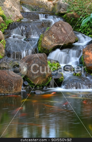 To use this stock image in your creative project, please select the size you need over to the right and click the "Add to Cart" button.
Your downloaded image will come with the Cutcaster watermark removed so don’t worry about the watermark you see on this page. Kauai Falls stock photo, A small waterfall with Koi on the Hawaiian Island of Kauai by Samuel Jolly