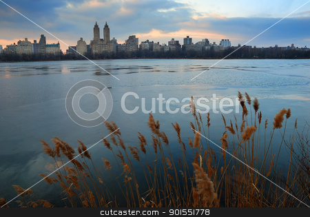 To use this stock image in your creative project, please select the size you need over to the right and click the "Add to Cart" button.
Your downloaded image will come with the Cutcaster watermark removed so don’t worry about the watermark you see on this page. Central Park, New York City stock photo, Wall Street, New York City - February 3, Central Park at dusk with skyscrapers, February 3, 2010 in New York City, New York. by rabbit75_cut