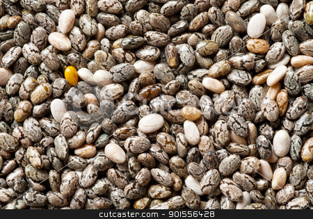 To use this stock image in your creative project, please select the size you need over to the right and click the "Add to Cart" button.
Your downloaded image will come with the Cutcaster watermark removed so don’t worry about the watermark you see on this page. Chia seeds. stock photo, Chia seeds background, close up. by Pablo Caridad