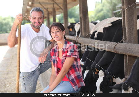Cow farmers Cow farmers stock photo, Cow farmers by photography33