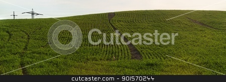 Green meadow hill Green meadow hill stock photo, Green meadow hill by Shlomo Polonsky