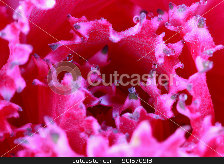 Fresh every day Fresh every day stock photo, Fresh every day by kamonrat