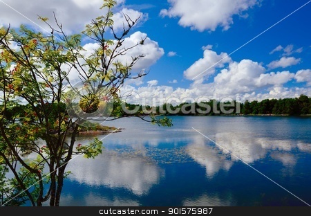 To use this stock image in your creative project, please select the size you need over to the right and click the "Add to Cart" button.
Your downloaded image will come with the Cutcaster watermark removed so don’t worry about the watermark you see on this page. Swedish Archipelago stock photo, St Anna Archipelago in a nummer sunny day in Sweden by Maurizio Martini