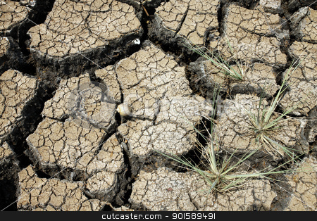 To use this stock image in your creative project, please select the size you need over to the right and click the "Add to Cart" button.
Your downloaded image will come with the Cutcaster watermark removed so don’t worry about the watermark you see on this page. Cracked ground after flood stock photo, Cracked ground after flood by kamonrat