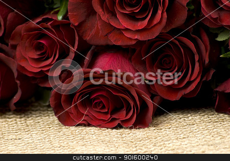 Red roses red roses stock photo, bunch of red roses layed over hessian fabric by Desislava Dimitrova