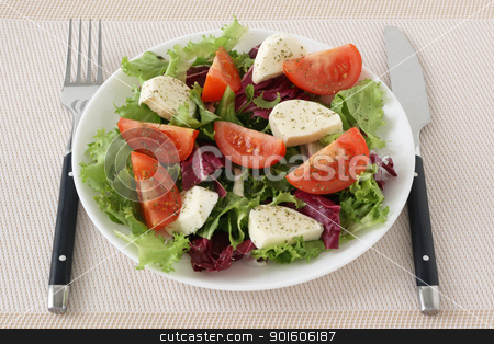 To use this stock image in your creative project, please select the size you need over to the right and click the "Add to Cart" button.
Your downloaded image will come with the Cutcaster watermark removed so don’t worry about the watermark you see on this page. salad with cheese mozzarella stock photo, salad with cheese mozzarella by nataliamylova