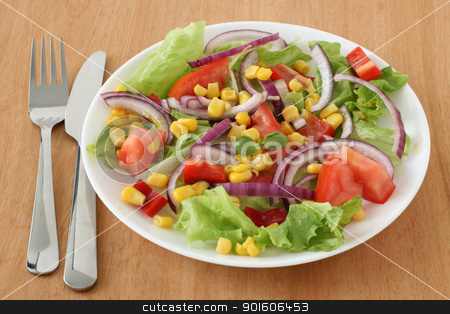 To use this stock image in your creative project, please select the size you need over to the right and click the "Add to Cart" button.
Your downloaded image will come with the Cutcaster watermark removed so don’t worry about the watermark you see on this page. vegetable salad stock photo, vegetable salad by nataliamylova