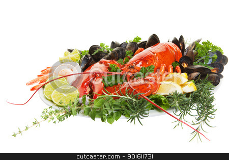Lobster dish Lobster dish stock photo, Fresh seafood dish with lobster on a white background by Steve Mcsweeny