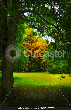 Glade in forest glade in forest stock photo, glade in autumn forest by Petr Malyshev
