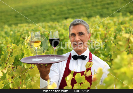 To use this stock image in your creative project, please select the size you need over to the right and click the "Add to Cart" button.
Your downloaded image will come with the Cutcaster watermark removed so don’t worry about the watermark you see on this page. Waiter stood in vineyard with tray of wine glasses stock photo, Waiter stood in vineyard with tray of wine glasses by photography33
