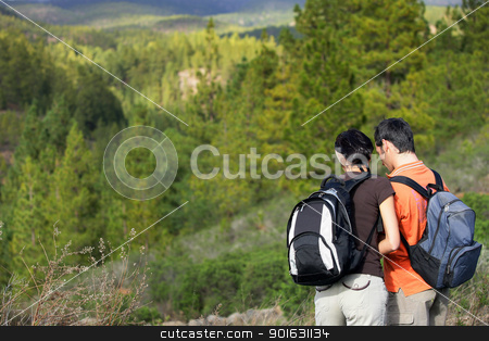To use this stock image in your creative project, please select the size you need over to the right and click the "Add to Cart" button.
Your downloaded image will come with the Cutcaster watermark removed so don’t worry about the watermark you see on this page. a couple hiking in the mountains stock photo, a couple hiking in the mountains by photography33