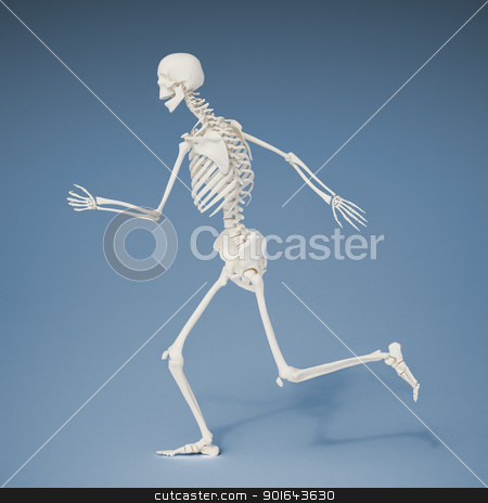 To use this stock image in your creative project, please select the size you need over to the right and click the "Add to Cart" button.
Your downloaded image will come with the Cutcaster watermark removed so don’t worry about the watermark you see on this page. Running human skeleton - anatomically correct , realistic 3d rendering stock photo, Running human skeleton - anatomically correct , realistic 3d rendering
by Mopic