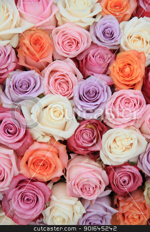To use this stock image in your creative project, please select the size you need over to the right and click the "Add to Cart" button.
Your downloaded image will come with the Cutcaster watermark removed so don’t worry about the watermark you see on this page. Pastel rose wedding flowers stock photo, Bridal flower arrangement with roses in many pastel colors by Porto Sabbia