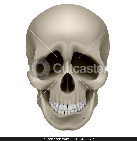 Human Skull Human Skull stock photo, Freaky Human Skull. The emotion of sadness. Illustration on white. by dvarg