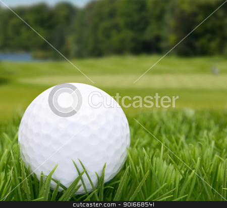 To use this stock image in your creative project, please select the size you need over to the right and click the "Add to Cart" button.
Your downloaded image will come with the Cutcaster watermark removed so don’t worry about the watermark you see on this page. Golf Ball stock photo, Golf Ball in Grass - Golf Course in Background by JAMDesign