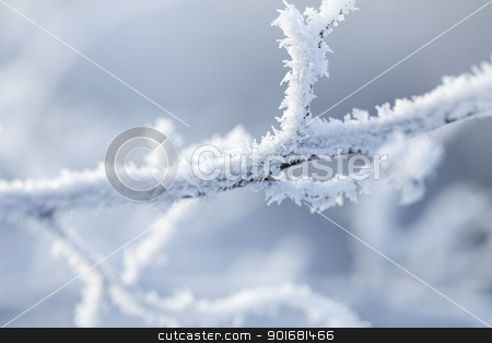 To use this stock image in your creative project, please select the size you need over to the right and click the "Add to Cart" button.
Your downloaded image will come with the Cutcaster watermark removed so don’t worry about the watermark you see on this page. snow crystals stock photo, branches covered in snow and ice crystals by Liv Friis-Larsen