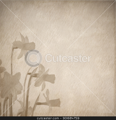 To use this stock image in your creative project, please select the size you need over to the right and click the "Add to Cart" button.
Your downloaded image will come with the Cutcaster watermark removed so don’t worry about the watermark you see on this page. daffodils retro design stock photo, daffodils retro design by FranziskaKrause