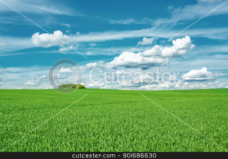 Beautiful summer rural landscape Beautiful summer rural landscape stock photo, Beautiful summer rural landscape with green field and blue sky by Artush