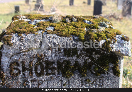 To use this stock image in your creative project, please select the size you need over to the right and click the "Add to Cart" button.
Your downloaded image will come with the Cutcaster watermark removed so don’t worry about the watermark you see on this page. Moss tombstone stock photo, Moss growing in the letters of a tombstone by Angela Schmidt
