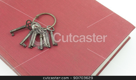 To use this stock image in your creative project, please select the size you need over to the right and click the "Add to Cart" button.
Your downloaded image will come with the Cutcaster watermark removed so don’t worry about the watermark you see on this page. Keys Laying On A Red Book stock photo, Antique keys on a key ring laying on a red book by Angela Schmidt