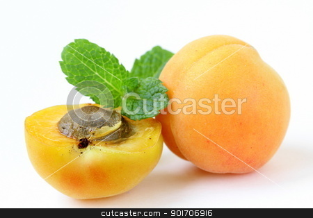 To use this stock image in your creative project, please select the size you need over to the right and click the "Add to Cart" button.
Your downloaded image will come with the Cutcaster watermark removed so don’t worry about the watermark you see on this page. ripe juicy fruit apricot on white background stock photo, ripe juicy fruit apricot on white background by Olga Kriger