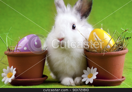 Easter Animals, holiday concept Easter Animals, holiday concept stock photo, Easter Animals, holiday concept by fikmik